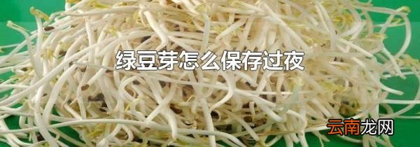 绿豆芽怎么保存过夜