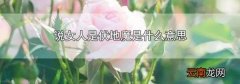说女人是伏地魔是什么意思