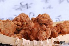 田七粉的功效与作用田七粉角禁忌人群