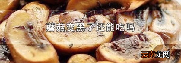 蘑菇变黑了还能吃吗
