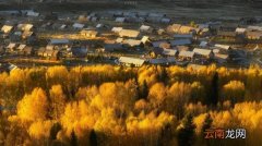 怎么才能抓住女人的心里，抓住女人的这5个小心思