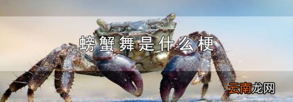 螃蟹舞是什么梗