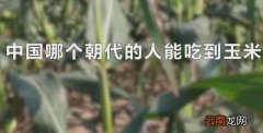 中国哪个朝代的人能吃到玉米