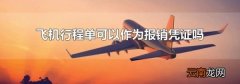 飞机行程单可以作为报销凭证吗