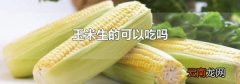 玉米生的可以吃吗