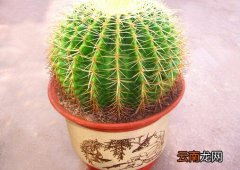 金琥与家居风格的搭配