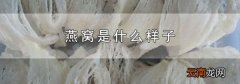 燕窝是什么样子