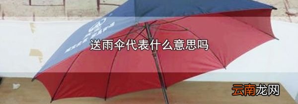 送雨伞代表什么意思吗
