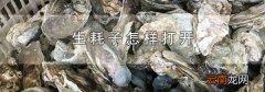 生耗子怎样打开