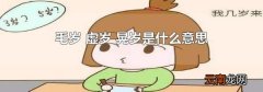 毛岁 虚岁 晃岁是什么意思