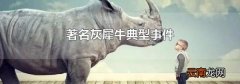 著名灰犀牛典型事件