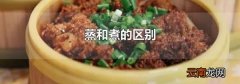 蒸和煮的区别
