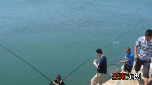 海边钓鱼有哪些技巧？