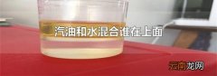 汽油和水混合谁在上面