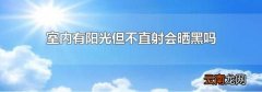 室内有阳光但不直射会晒黑吗