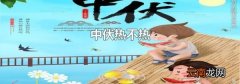 中伏热不热
