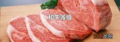 和牛等级