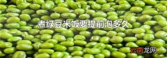 煮绿豆米饭要提前泡多久