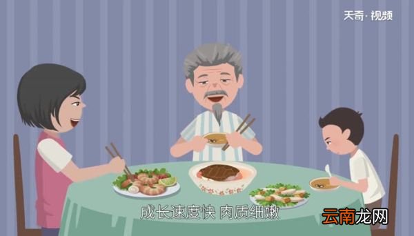 巴西龟能吃吗 巴西龟的肉是否可以食用