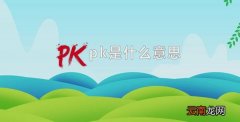 pk是什么意思