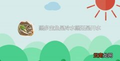 蒸多宝鱼是冷水蒸还是开水