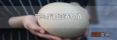 驼鸟蛋的营养价值