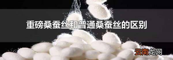 重磅桑蚕丝和普通桑蚕丝的区别