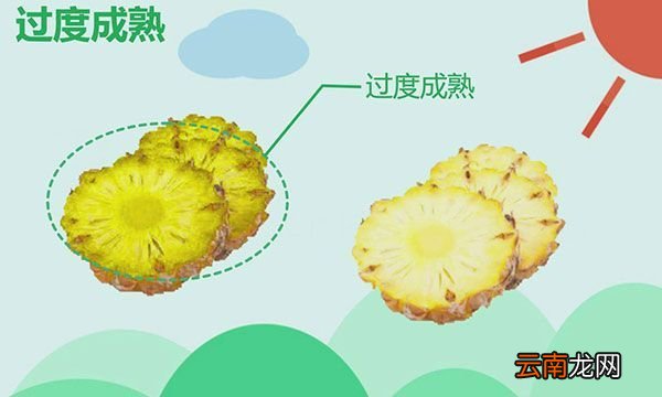 凤梨里面黑了还能吃吗